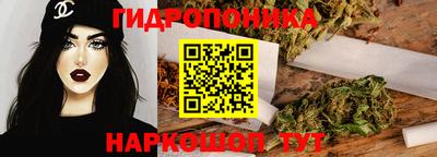 прущие грибы Обнинск