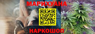 прущие грибы Обнинск