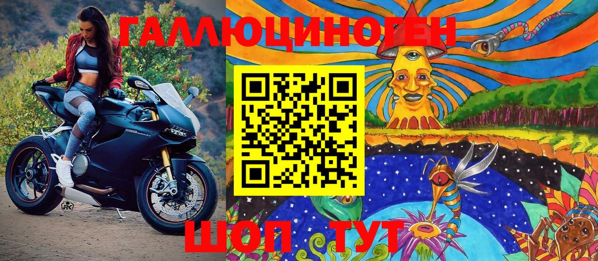 Галлюциногенные грибы Cubensis Геленджик
