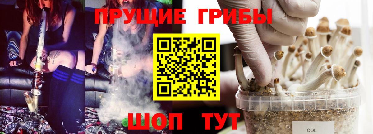 Геленджик  Галлюциногенные грибы мицелий  хочу наркоту  Вход с VPN 